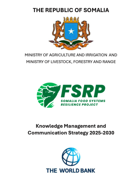 Knowledge Management and Communication Strategy